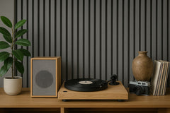 Acoustic Panel LifeStyle